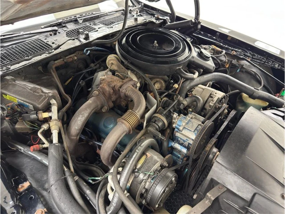 1981 Pontiac Firebird 2nd Gen - Image 28 of 31