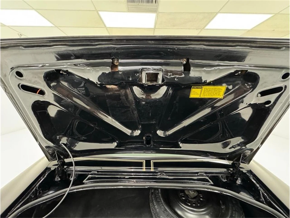 1981 Pontiac Firebird 2nd Gen - Image 31 of 31