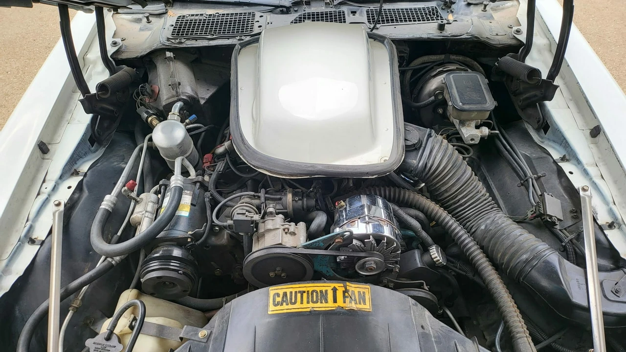 1981 Pontiac Firebird 2nd Gen - Image 7 of 9