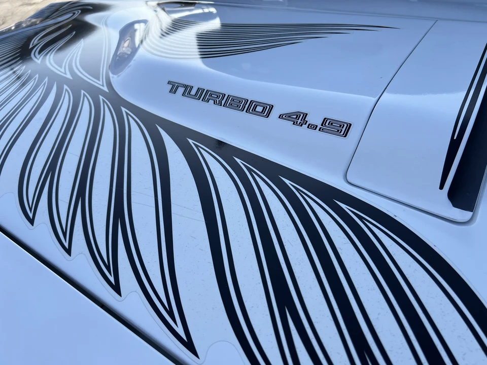 1981 Pontiac Firebird Trans Am 2nd Gen - Image 22 of 31