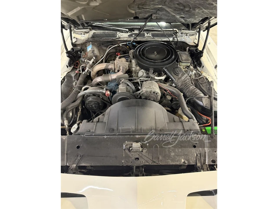 1981 Pontiac Firebird 2nd Gen - Image 5 of 5