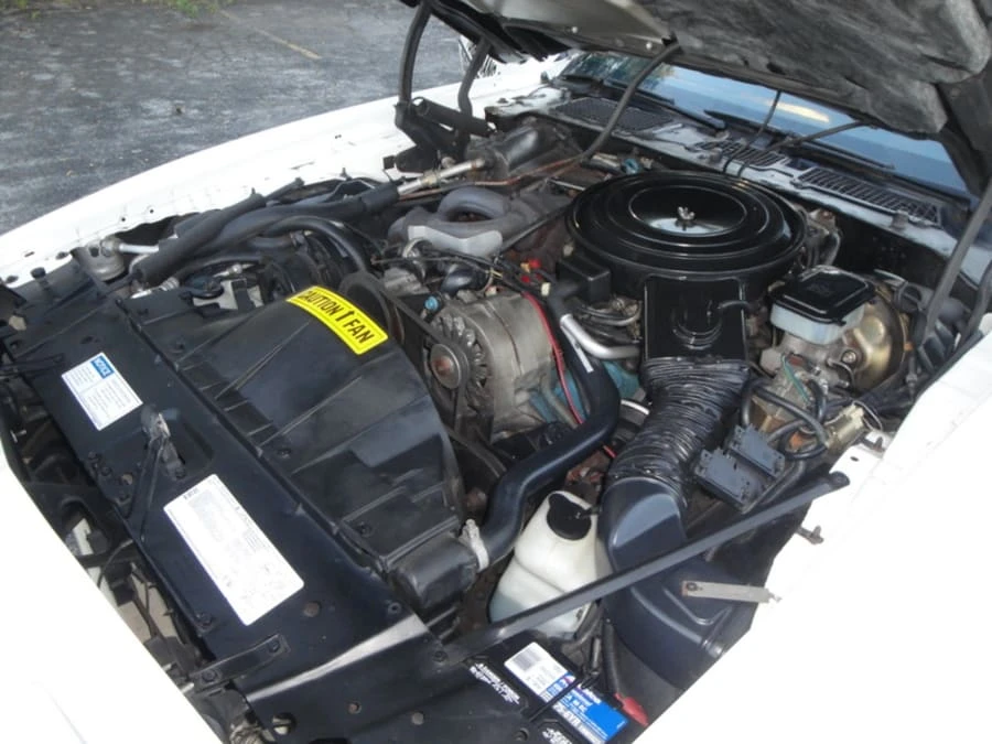 1981 Pontiac Firebird 2nd Gen - Image 8 of 10