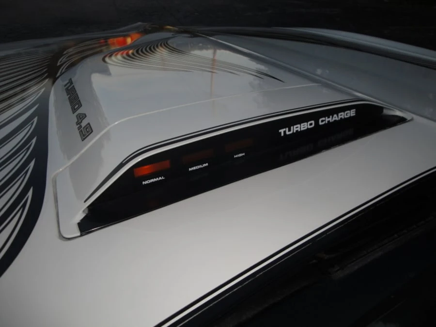 1981 Pontiac Firebird 2nd Gen - Image 9 of 10