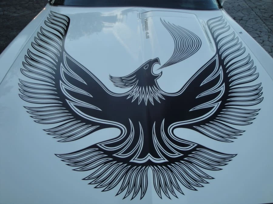1981 Pontiac Firebird 2nd Gen - Image 10 of 10