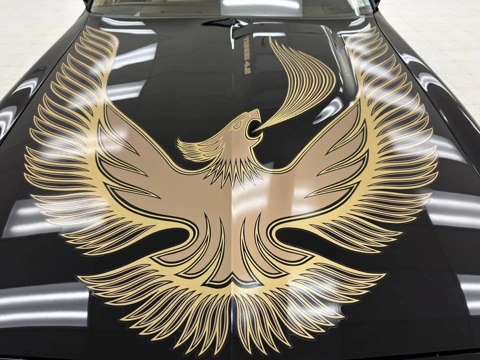 1981 Pontiac Firebird Trans Am 2nd Gen - Image 10 of 12