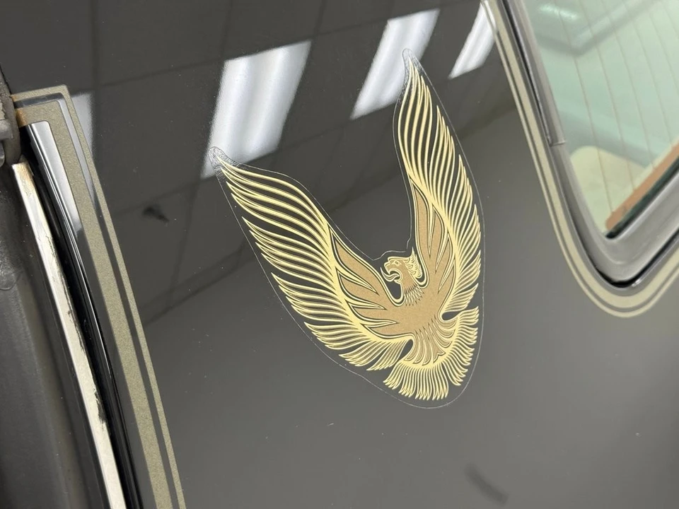 1981 Pontiac Firebird Trans Am 2nd Gen - Image 18 of 31