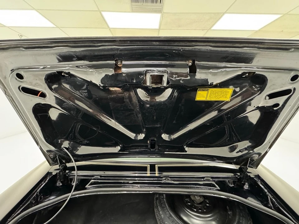 1981 Pontiac Firebird Trans Am 2nd Gen - Image 31 of 31