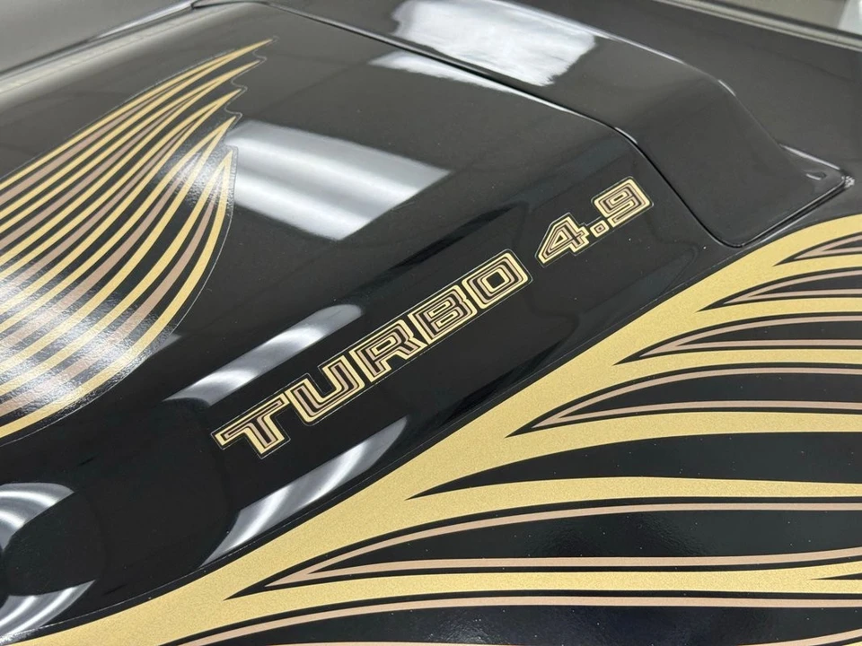 1981 Pontiac Firebird Trans Am 2nd Gen - Image 13 of 31