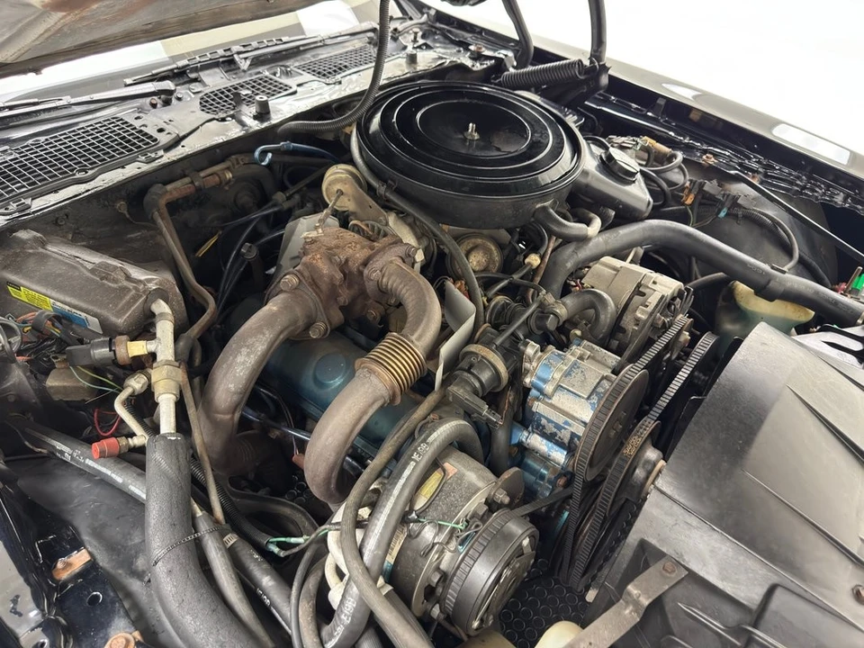 1981 Pontiac Firebird Trans Am 2nd Gen - Image 28 of 31