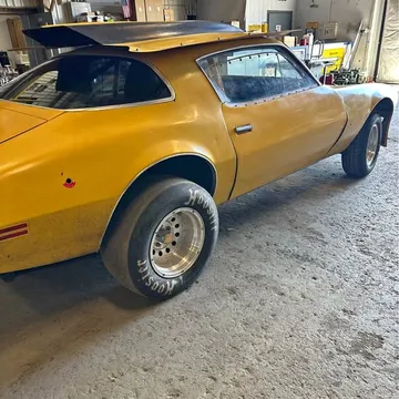 1981 Pontiac Firebird