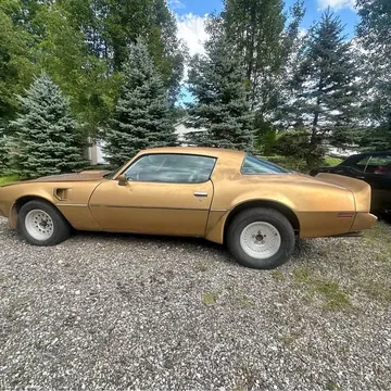 1981 Pontiac Firebird Coupe 2D