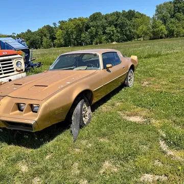 1981 Pontiac Firebird Coupe