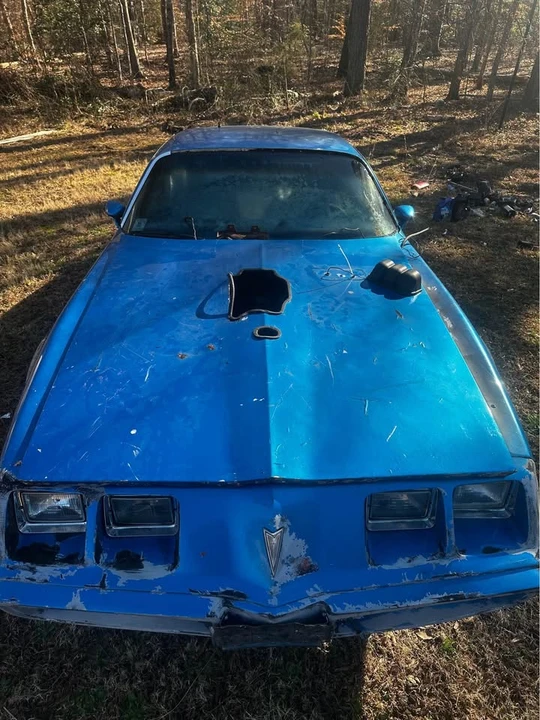 1981 Pontiac Firebird 2nd Gen - Image 4 of 9