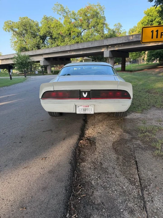 1981 Pontiac Firebird 2nd Gen - Image 5 of 13