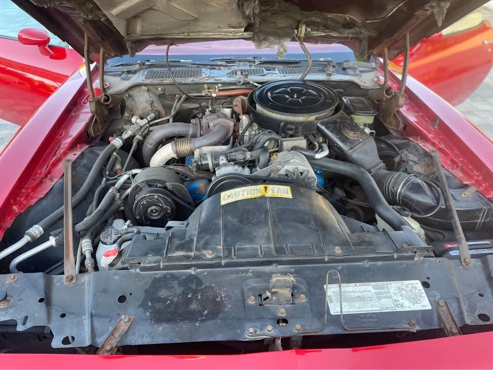 1981 Pontiac Firebird 2nd Gen - Image 9 of 11