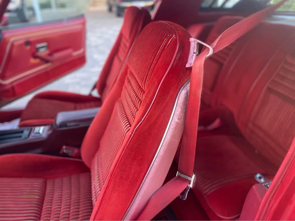 1981 Pontiac Firebird 2nd Gen - Image 4 of 11