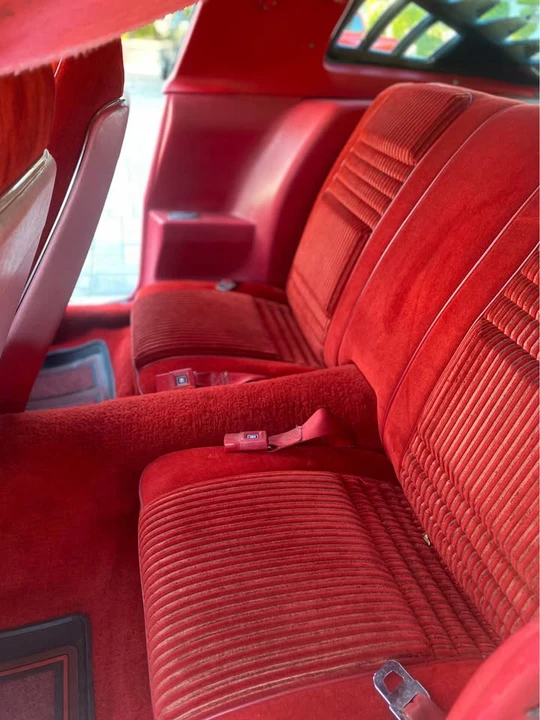 1981 Pontiac Firebird 2nd Gen - Image 7 of 11
