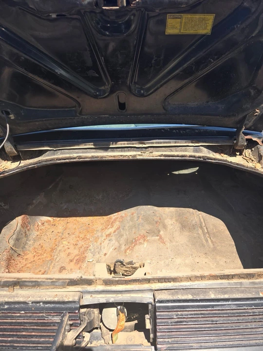 1981 Pontiac Firebird Esprit 2nd Gen - Image 3 of 5