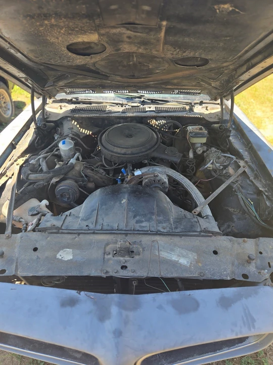 1981 Pontiac Firebird Esprit 2nd Gen - Image 4 of 5