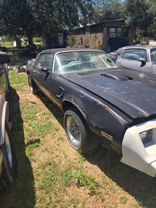 1981 Pontiac Firebird Esprit 2nd Gen - Image 5 of 5