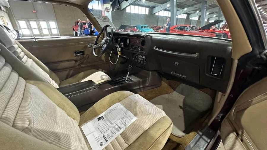 1981 Pontiac Firebird 2nd Gen - Image 11 of 14