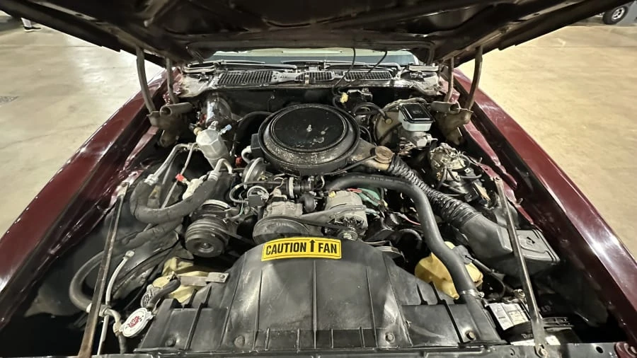 1981 Pontiac Firebird 2nd Gen - Image 14 of 14
