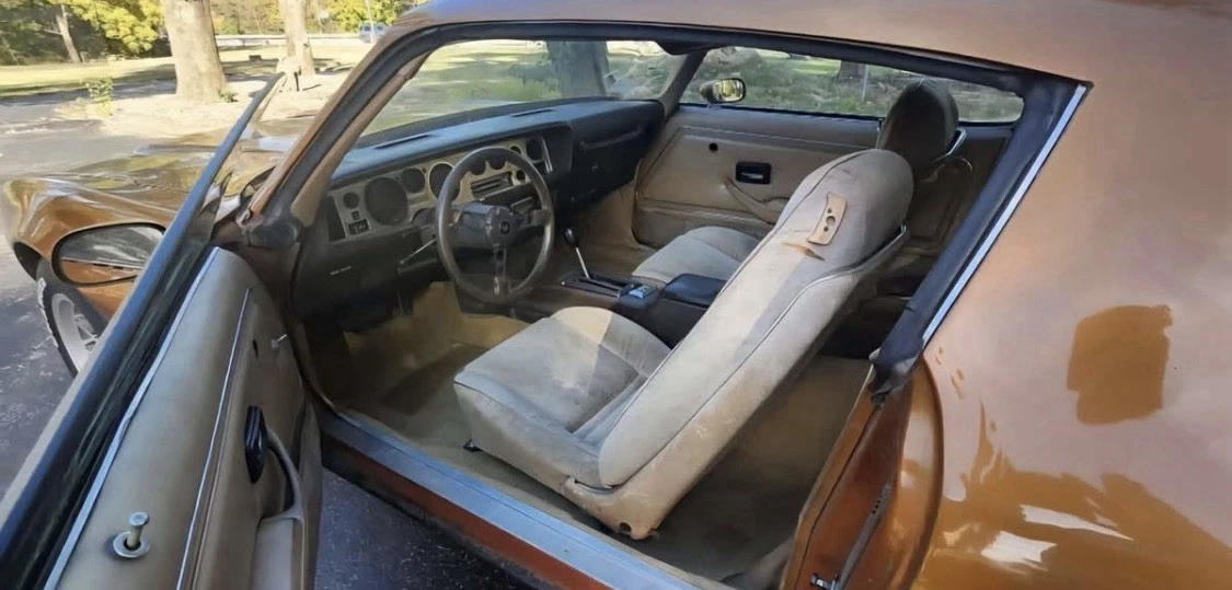 1981 Pontiac Firebird 2nd Gen - Image 11 of 12