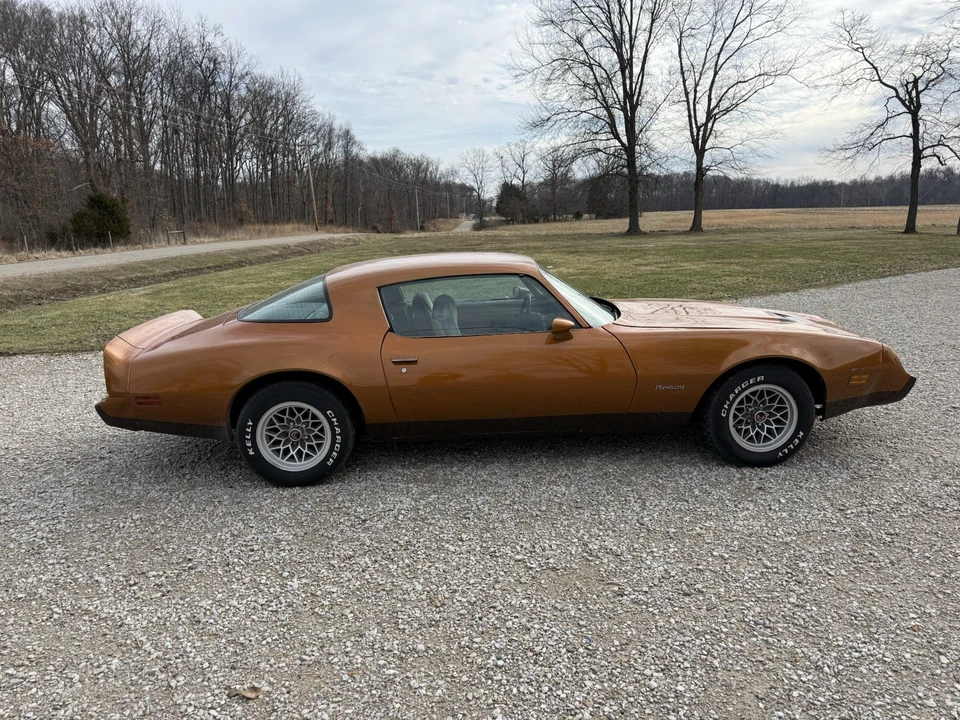 1981 Pontiac Firebird 2nd Gen - Image 2 of 12