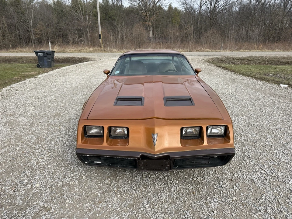 1981 Pontiac Firebird 2nd Gen - Image 3 of 12