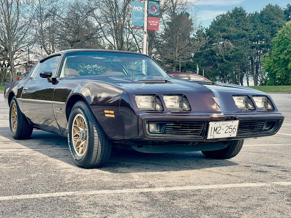 1981 Pontiac Firebird 2nd Gen - Image 7 of 31