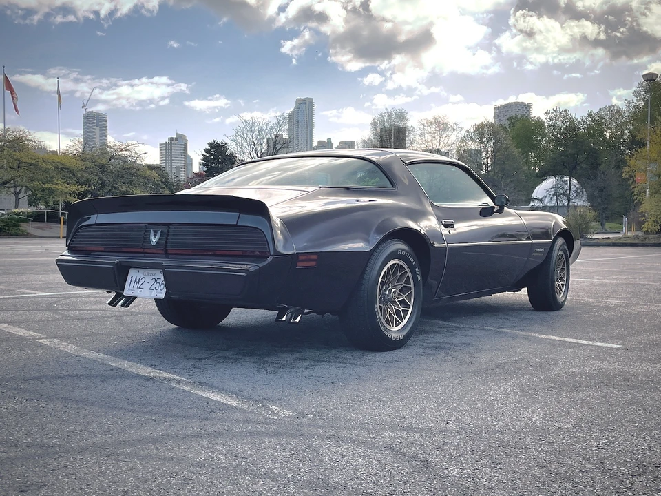 1981 Pontiac Firebird 2nd Gen - Image 16 of 31