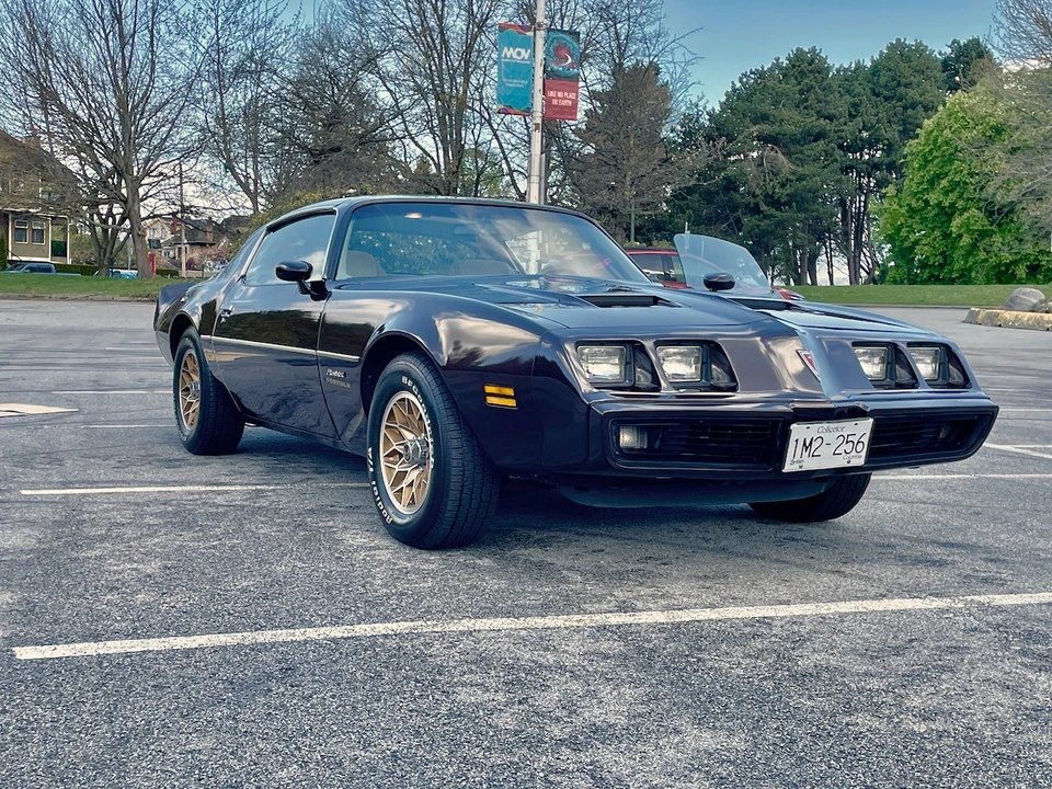 1981 Pontiac Firebird 2nd Gen - Image 8 of 31