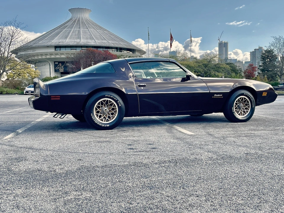 1981 Pontiac Firebird 2nd Gen - Image 14 of 31
