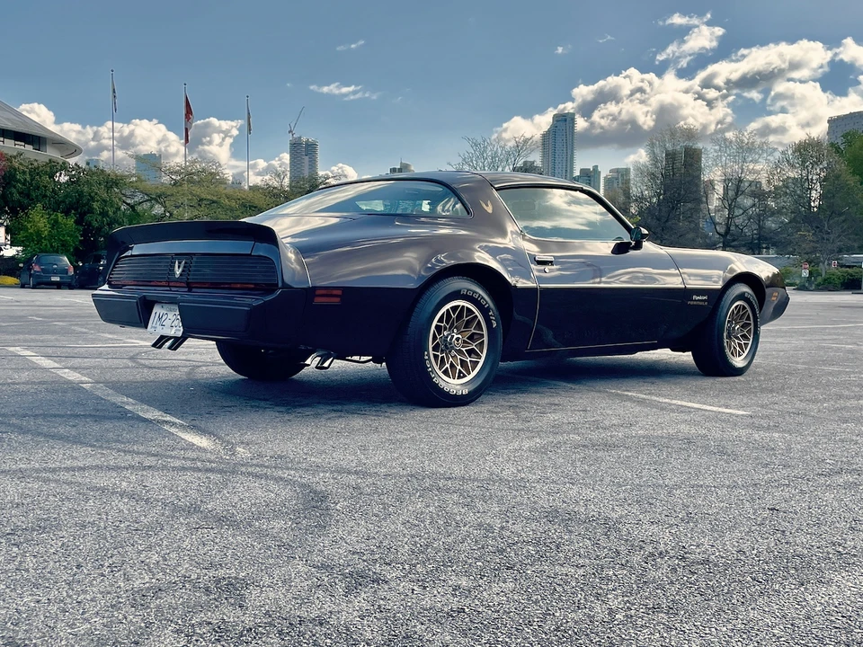 1981 Pontiac Firebird 2nd Gen - Image 15 of 31
