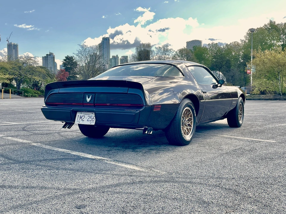 1981 Pontiac Firebird 2nd Gen - Image 17 of 31