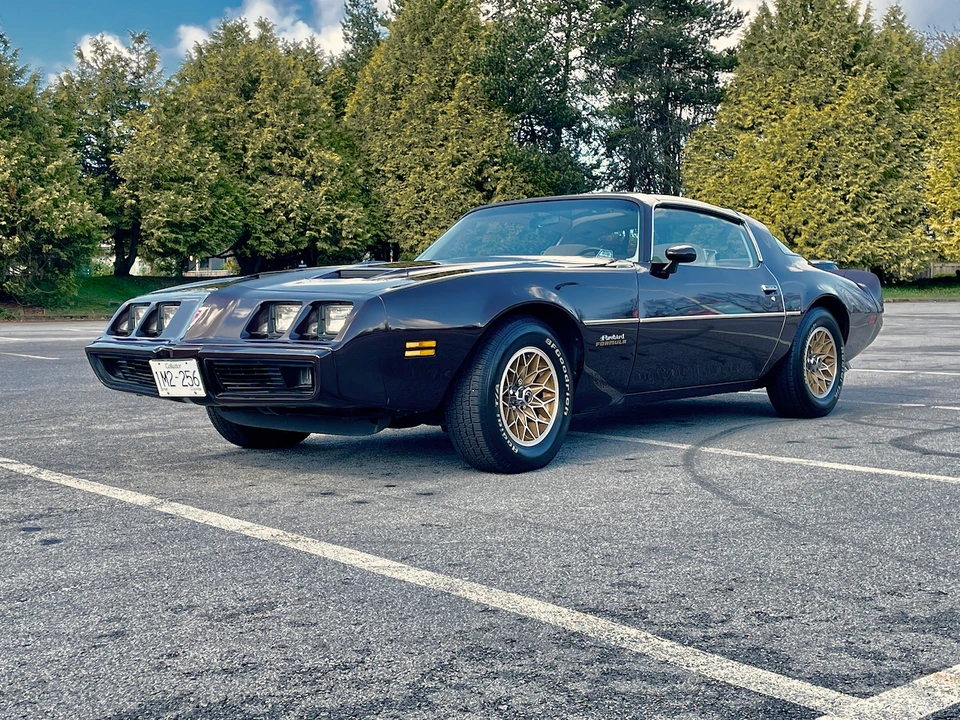 1981 Pontiac Firebird 2nd Gen - Image 2 of 31