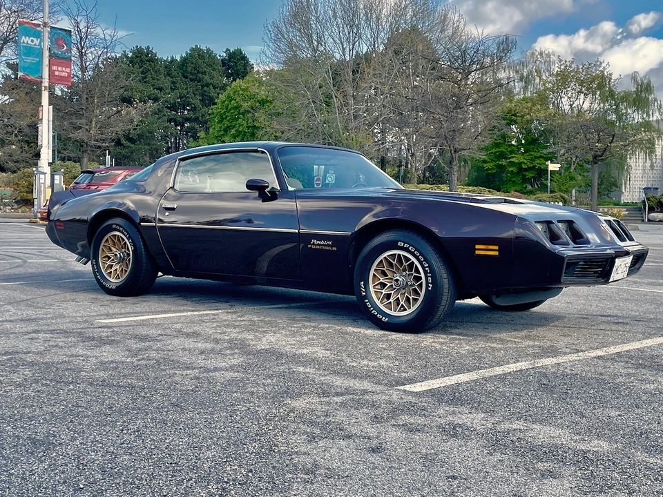 1981 Pontiac Firebird 2nd Gen - Image 10 of 31