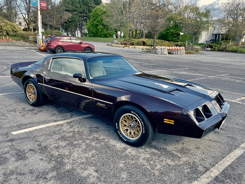 1981 Pontiac Firebird 2nd Gen - Image 9 of 31