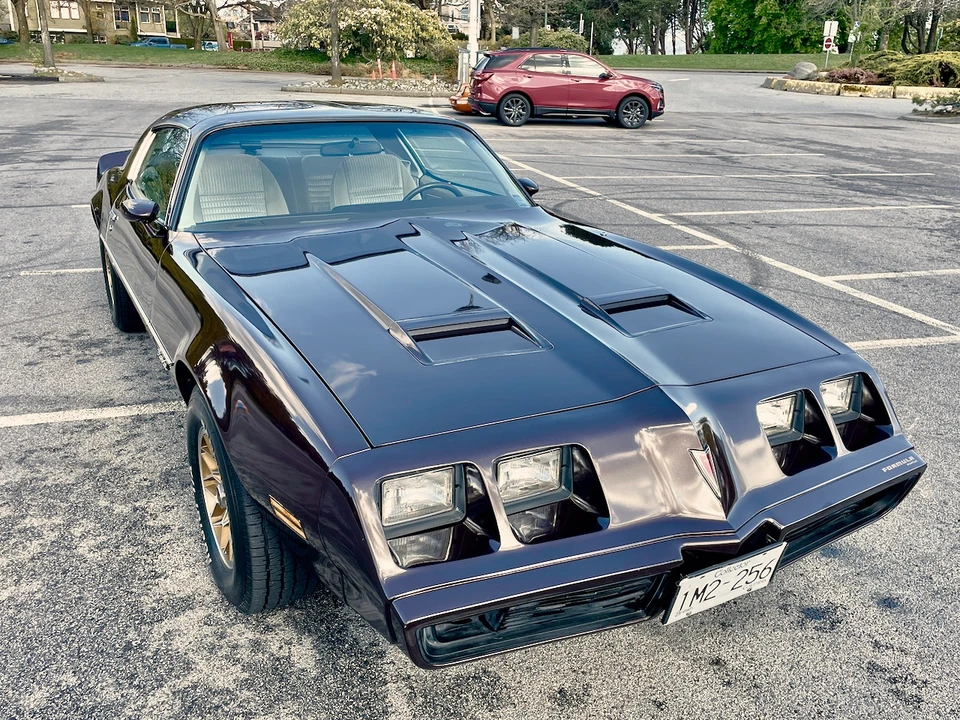 1981 Pontiac Firebird 2nd Gen - Image 5 of 31