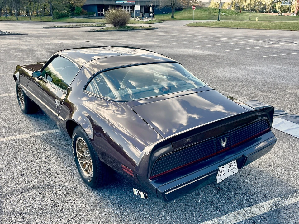 1981 Pontiac Firebird 2nd Gen - Image 22 of 31