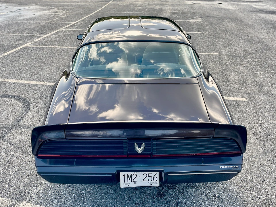 1981 Pontiac Firebird 2nd Gen - Image 19 of 31
