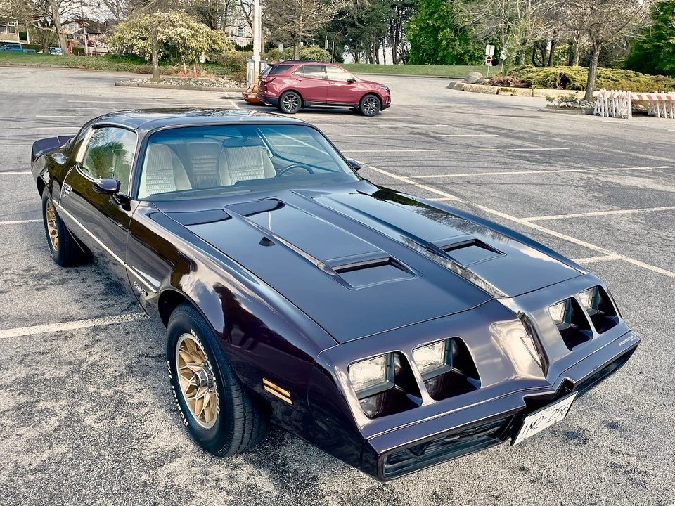 1981 Pontiac Firebird 2nd Gen - Image 6 of 31