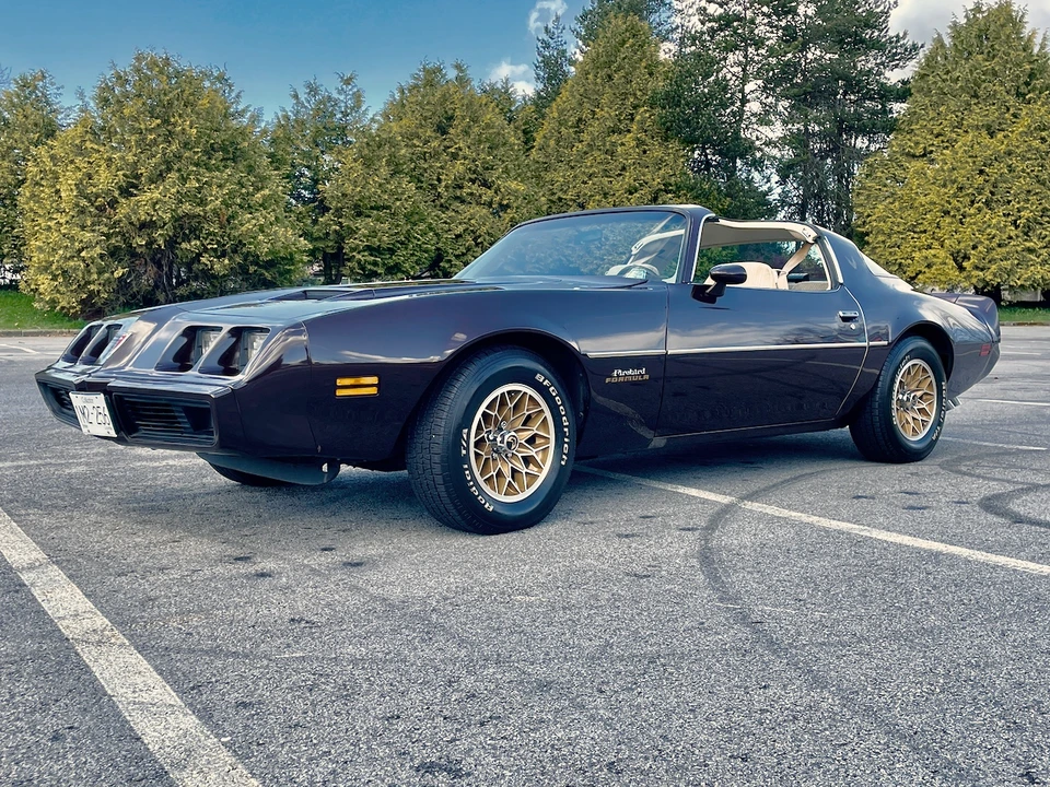 1981 Pontiac Firebird 2nd Gen - Image 25 of 31