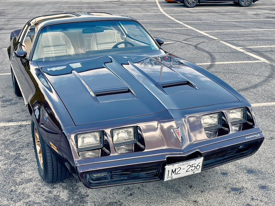 1981 Pontiac Firebird 2nd Gen - Image 31 of 31