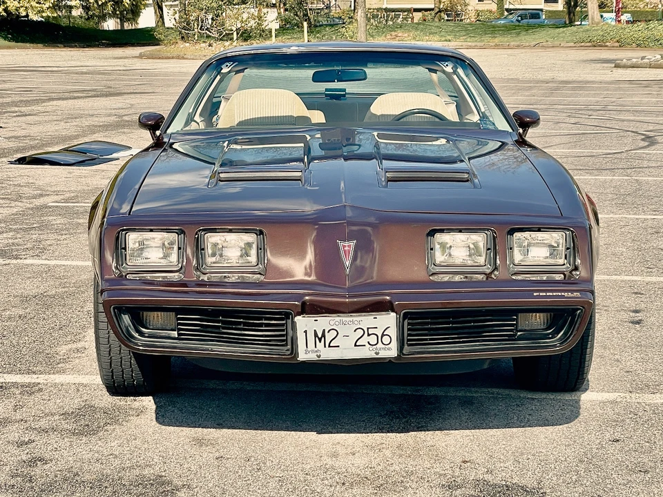 1981 Pontiac Firebird 2nd Gen - Image 30 of 31