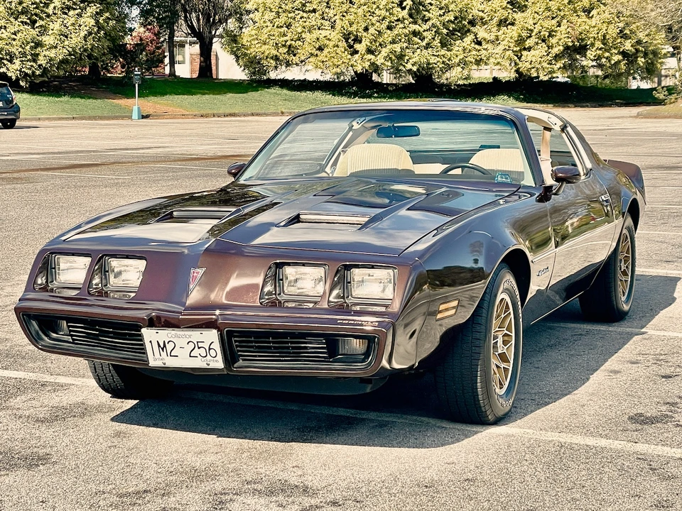 1981 Pontiac Firebird 2nd Gen - Image 29 of 31