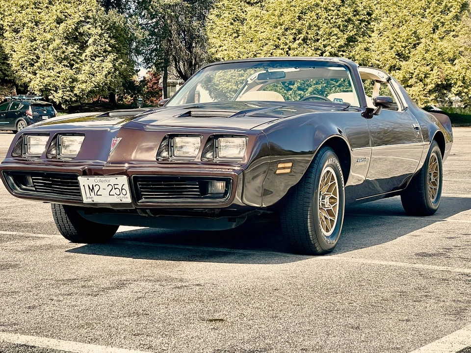 1981 Pontiac Firebird 2nd Gen - Image 28 of 31