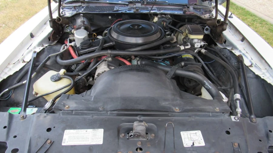 1981 Pontiac Firebird 2nd Gen - Image 6 of 8