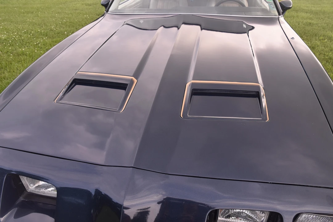 1981 Pontiac Firebird 2nd Gen - Image 12 of 31