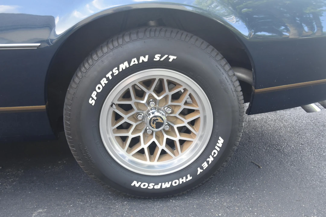 1981 Pontiac Firebird 2nd Gen - Image 31 of 31